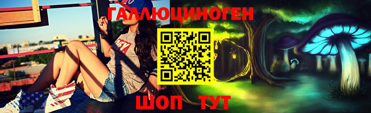 Галлюциногенные грибы Cubensis Можайск